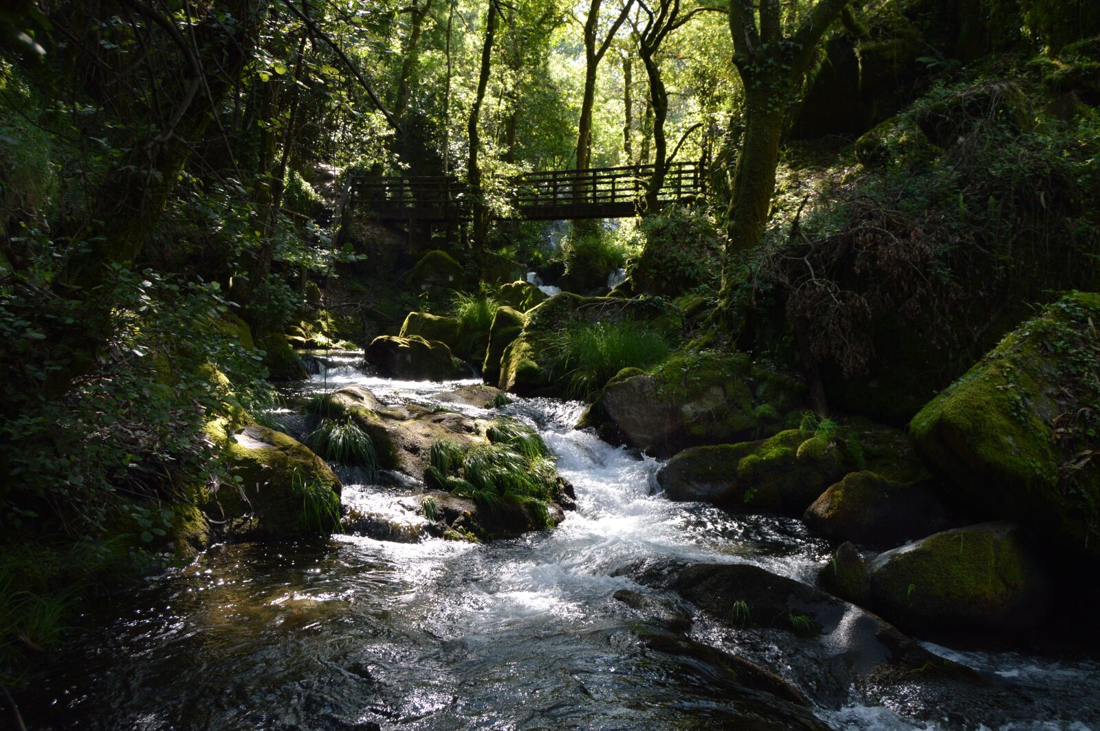 Nikon D3200 sample photo. River, waterfall, nature photography
