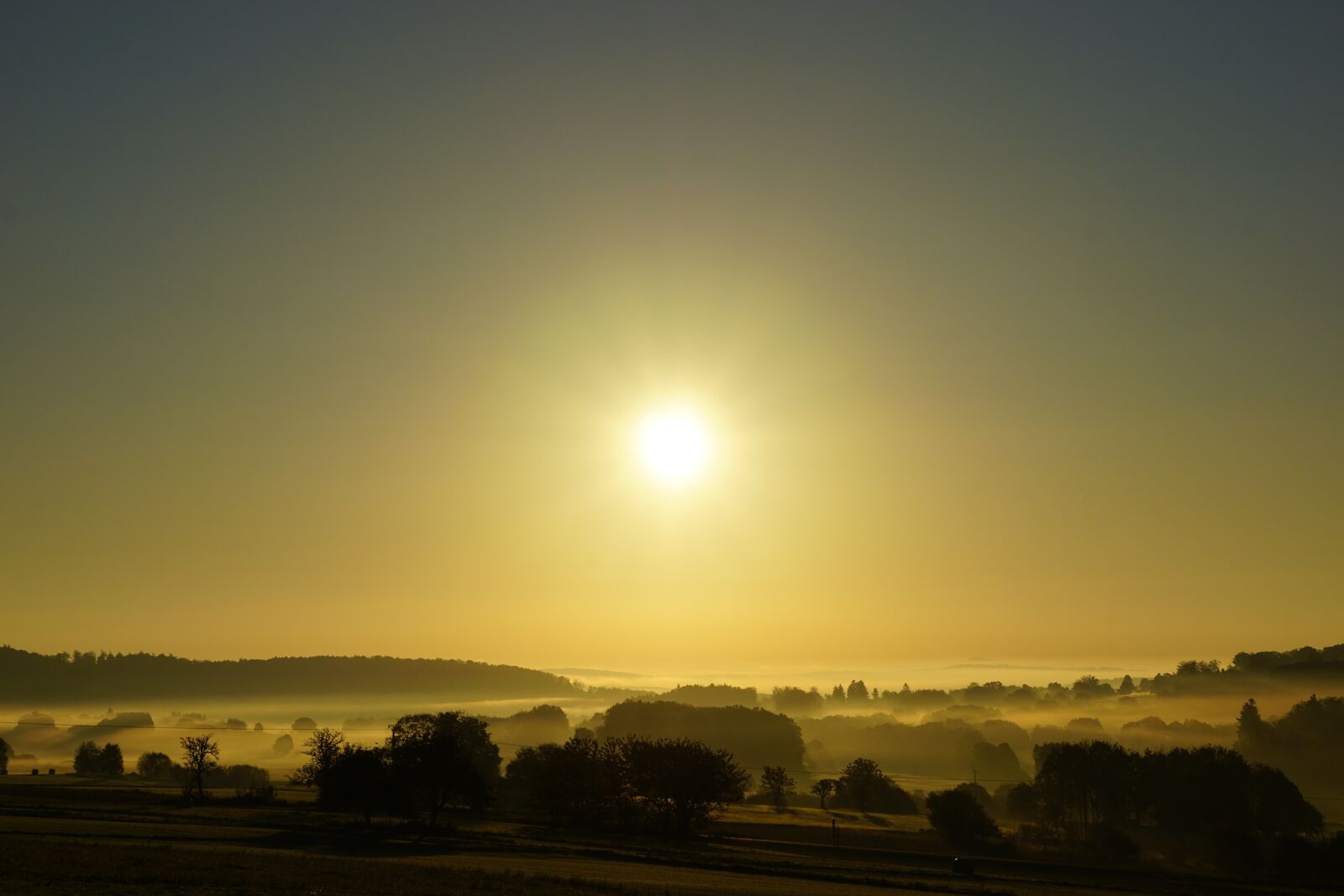 Sony E 55-210mm F4.5-6.3 OSS sample photo. Morning sun, landscape, fog photography