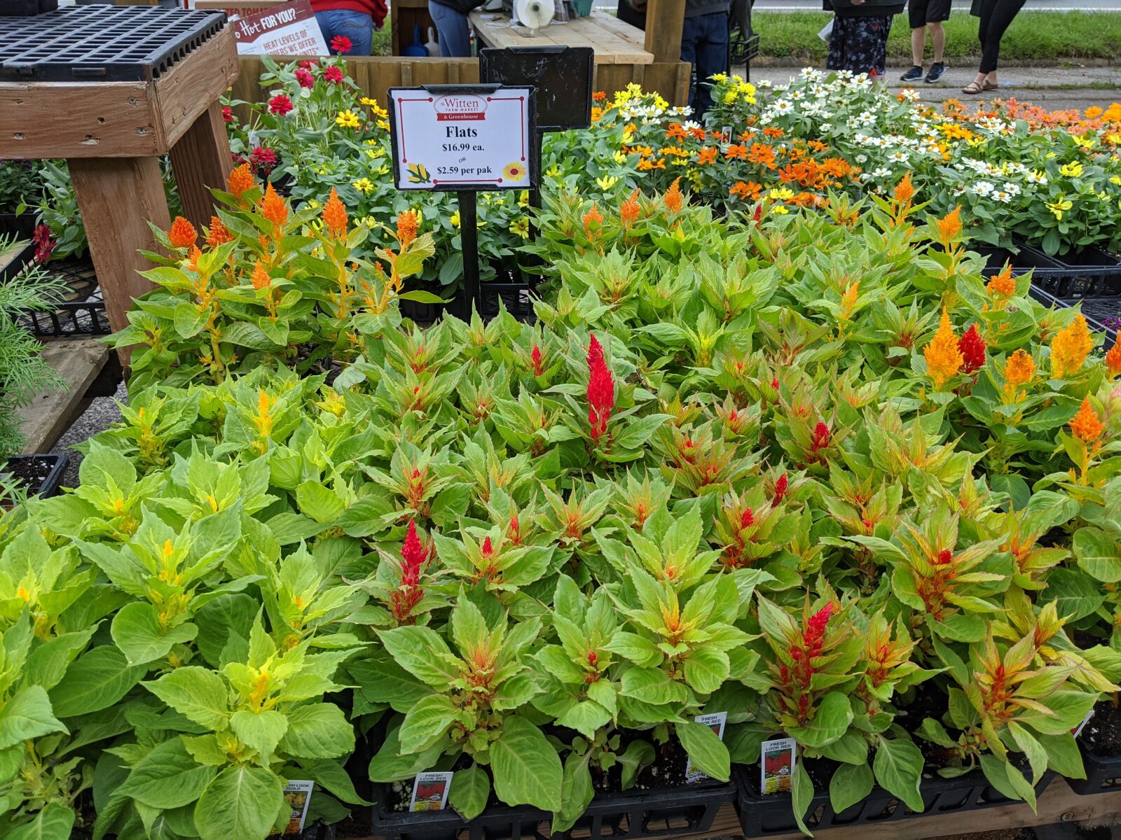 Google Pixel 3 sample photo. Flowers, market, outdoor shopping photography
