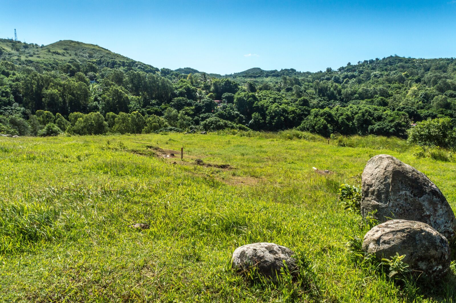 Nikon D3200 sample photo. Grass, landscape, sky photography