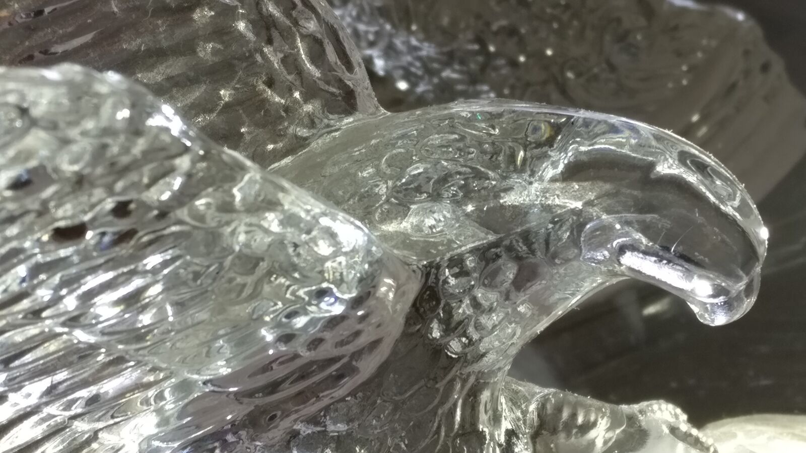 OnePlus A3003 sample photo. Crystal, glass, bird photography