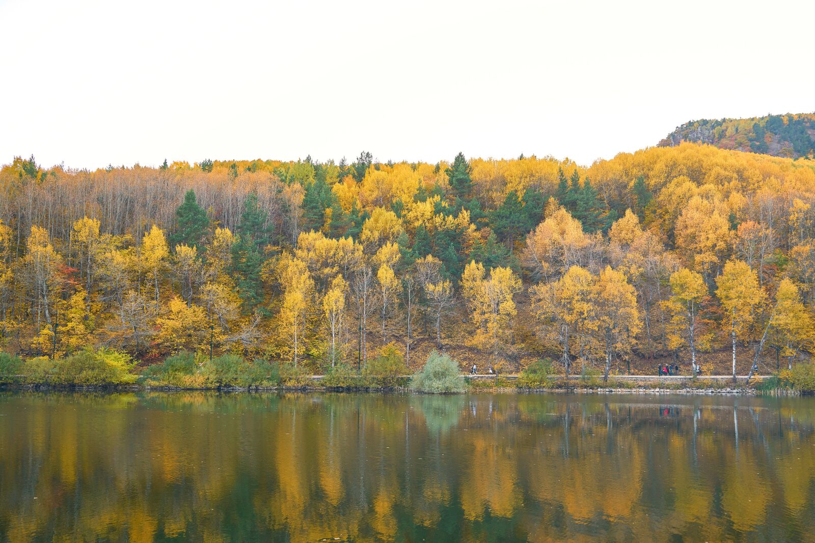 Sony a7R II sample photo. Autumn, season, landscape photography