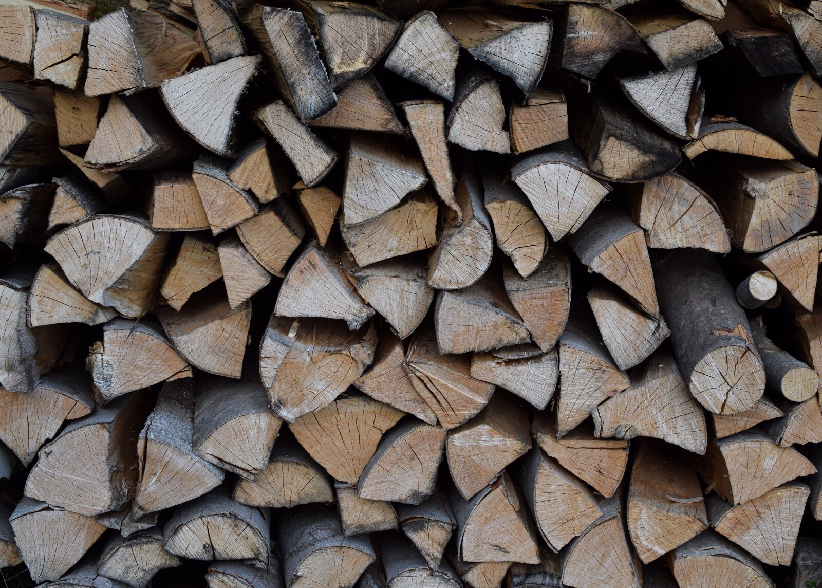 Nikon D5300 sample photo. Wood pile, firewood, wood photography