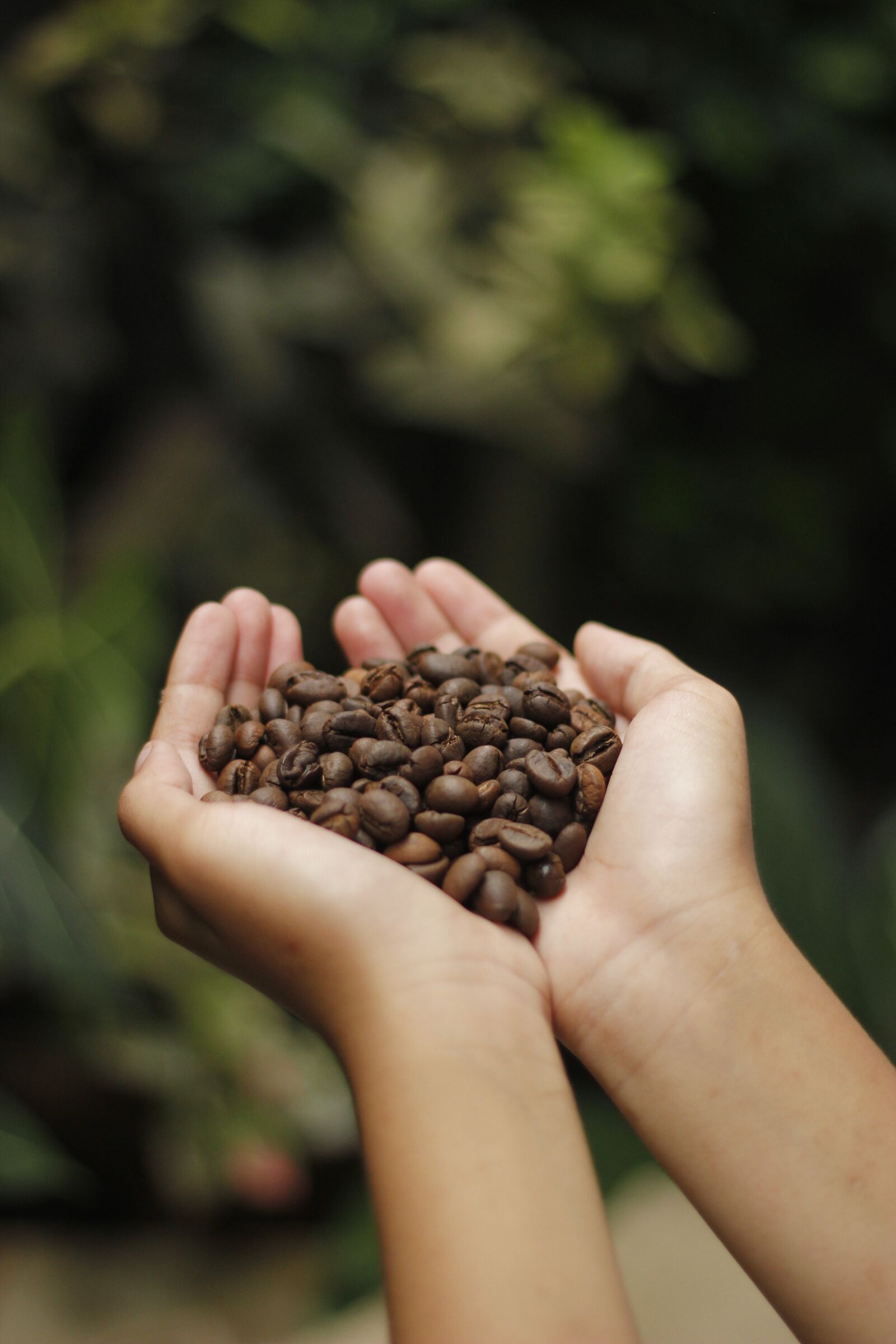 Canon EOS 550D (EOS Rebel T2i / EOS Kiss X4) sample photo. Coffee, coffee beans, aroma photography