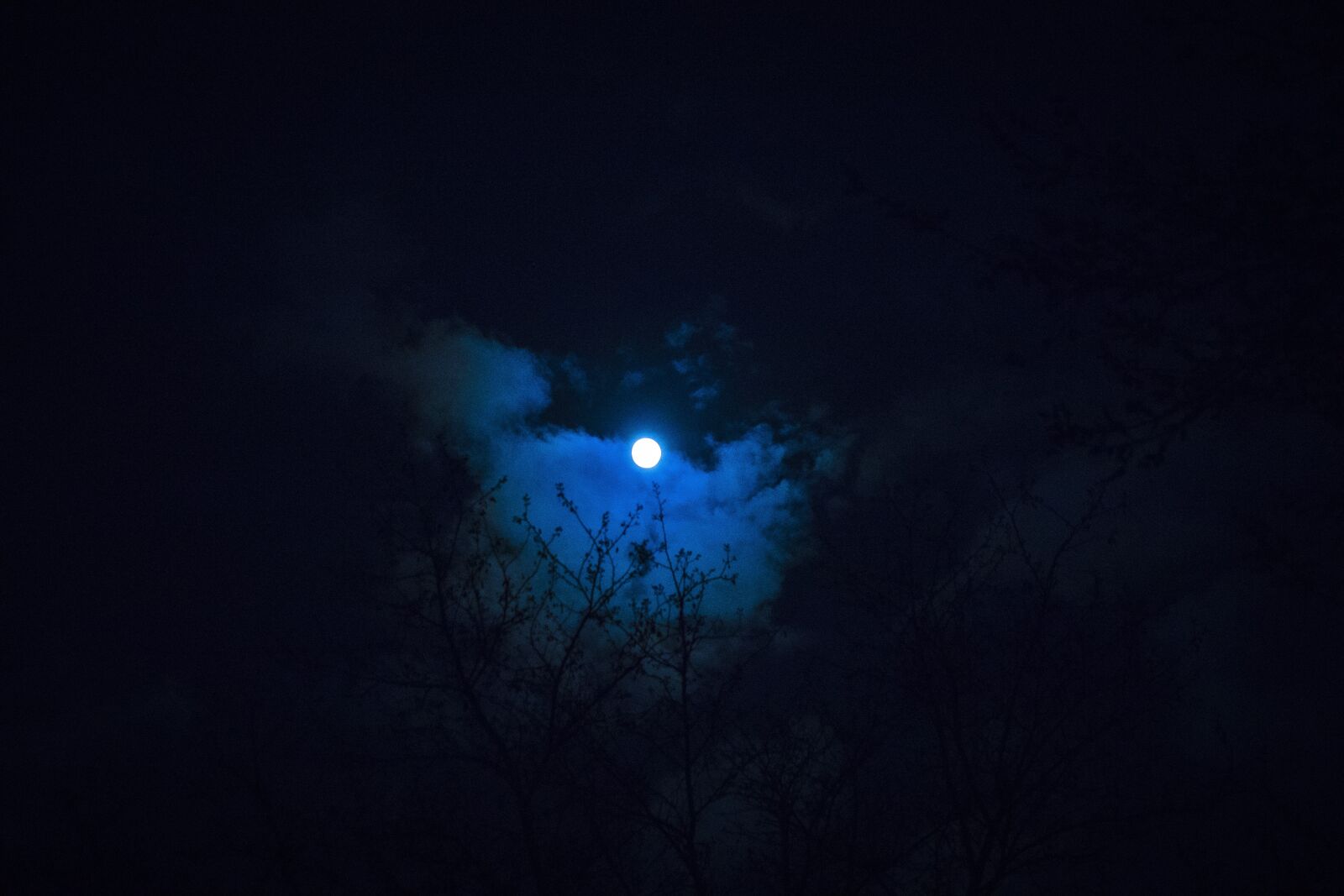 Canon EOS 77D (EOS 9000D / EOS 770D) sample photo. Moon, night, sky photography