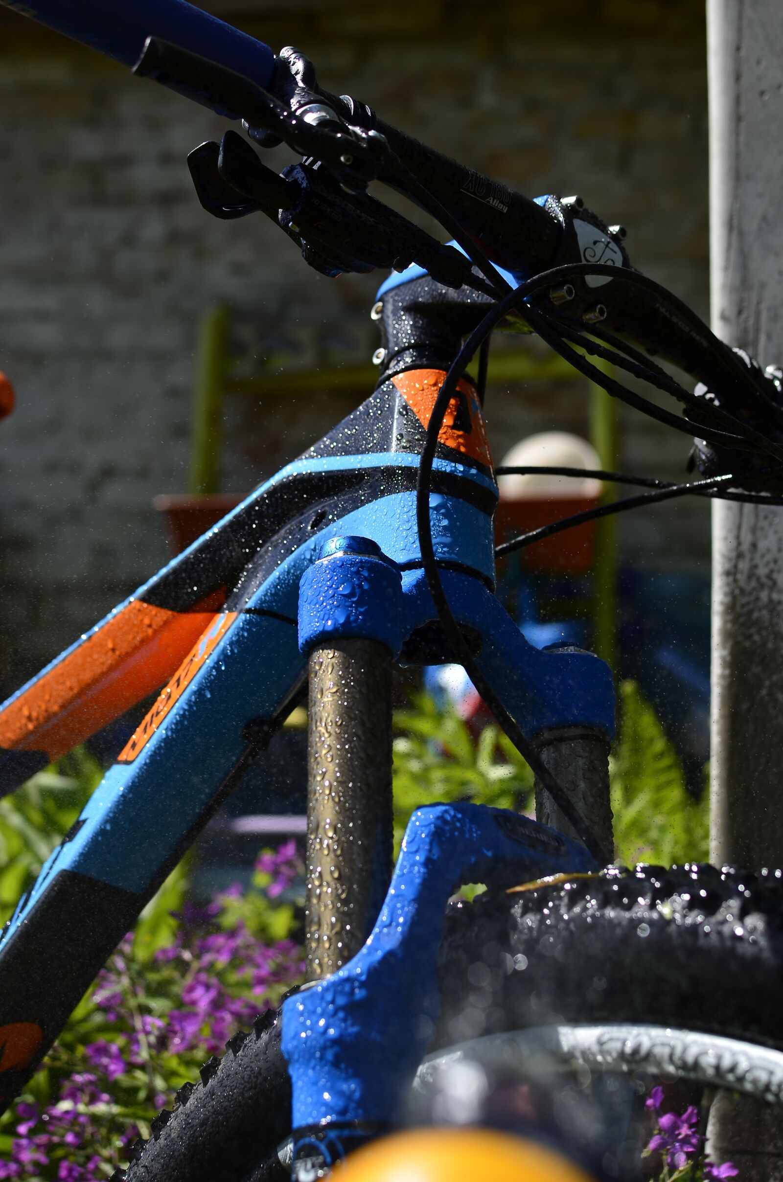 Nikon D7000 sample photo. Bike, fox, shimano photography
