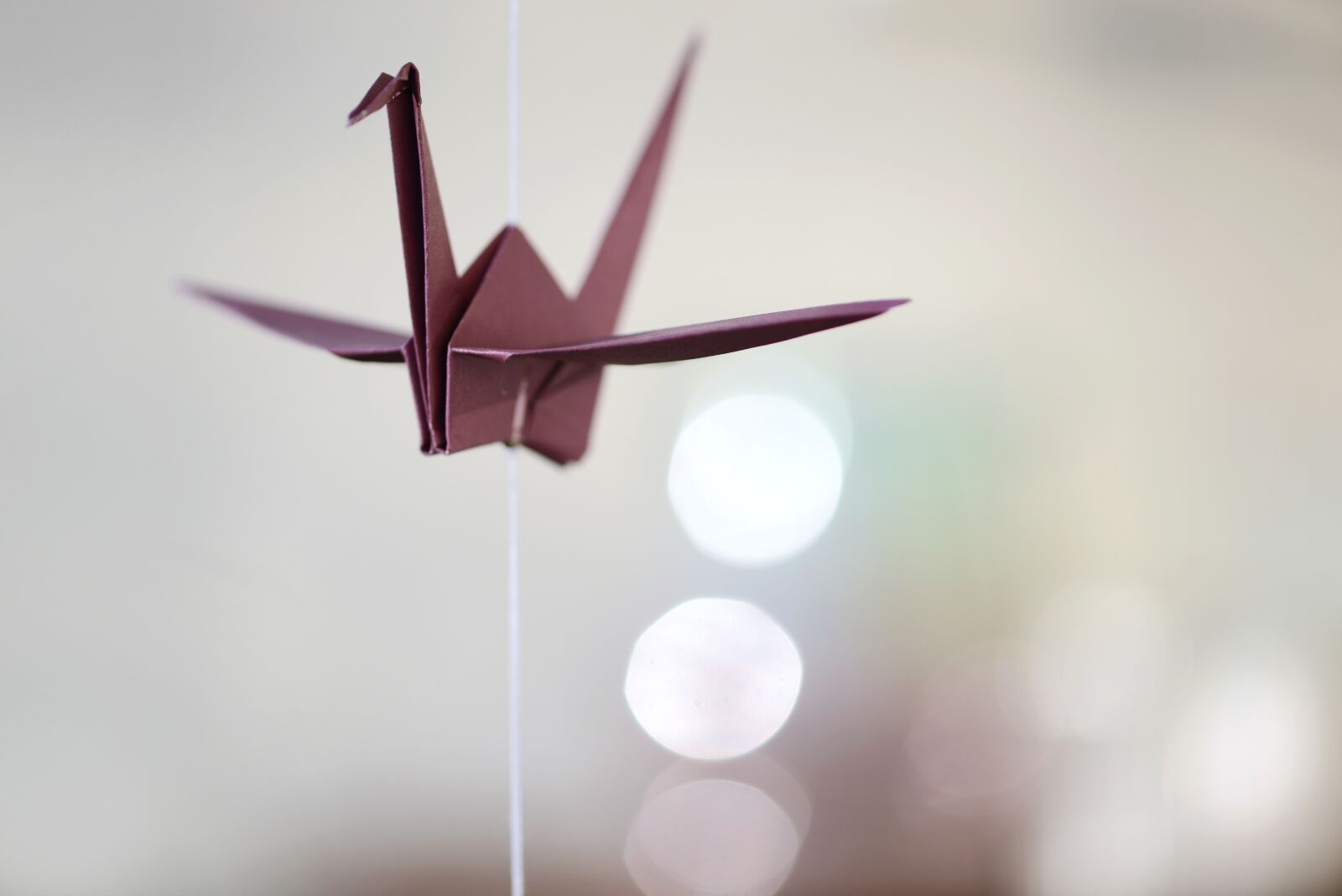 Nikon D800 sample photo. Origami, crane, fold photography