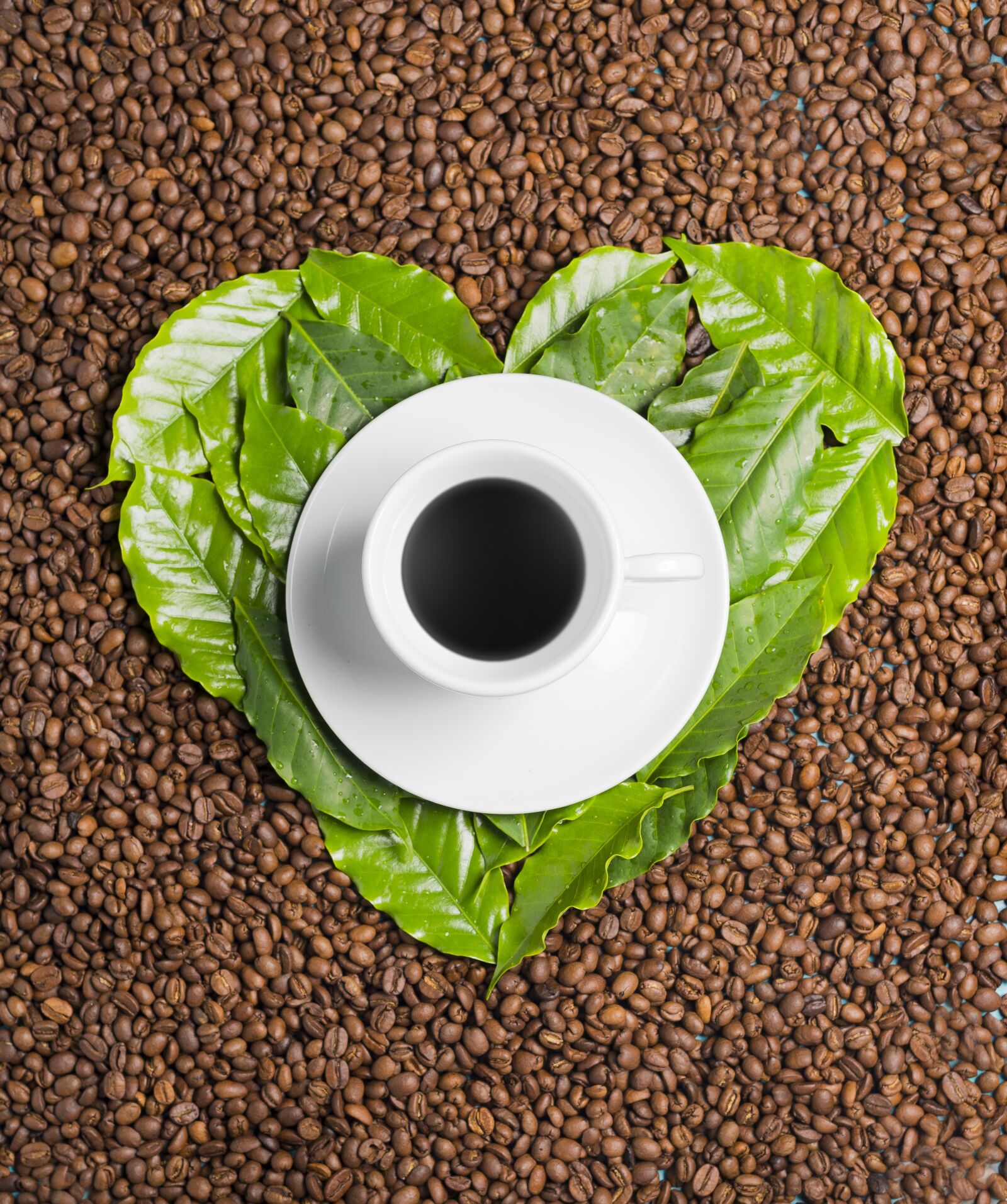 Nikon D610 sample photo. Coffee, love, leaves photography