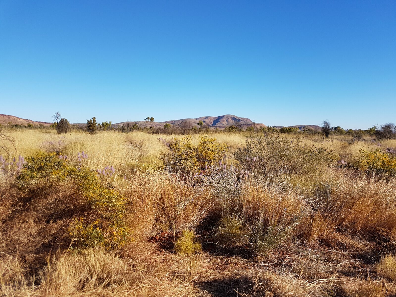 Samsung Galaxy S7 sample photo. Wa, western australia, outback photography