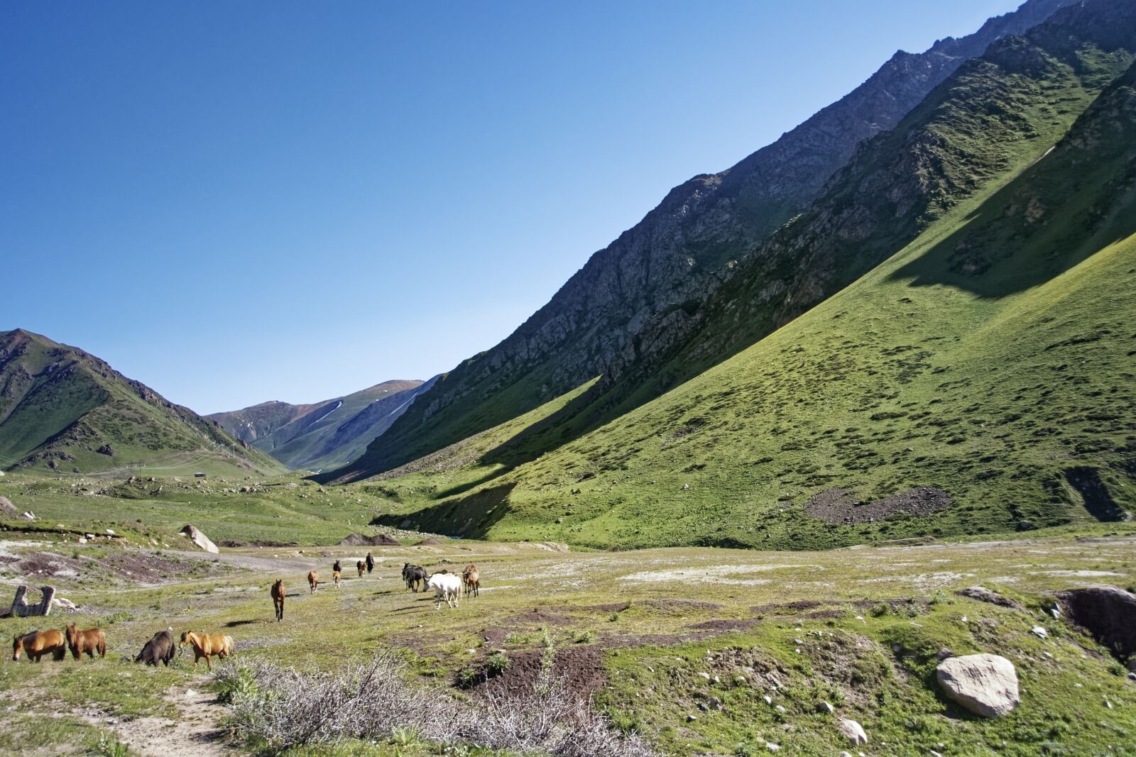 Nikon D500 sample photo. Kyrgyzstan, chychkan valley, tschytschkan photography