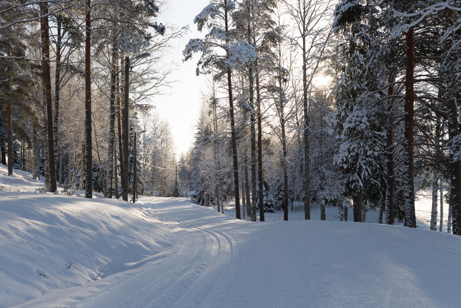 Canon EF 24-70mm F4L IS USM sample photo. Snow, winter, frost photography
