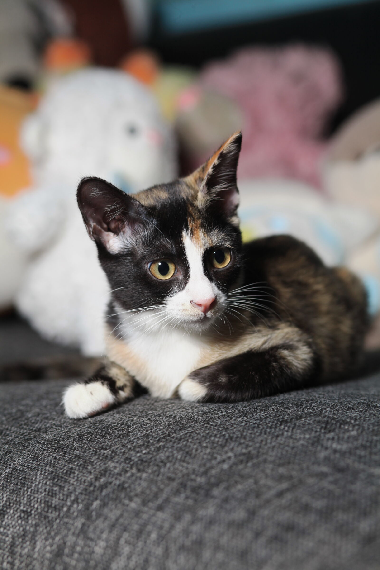Canon EOS 5D Mark II sample photo