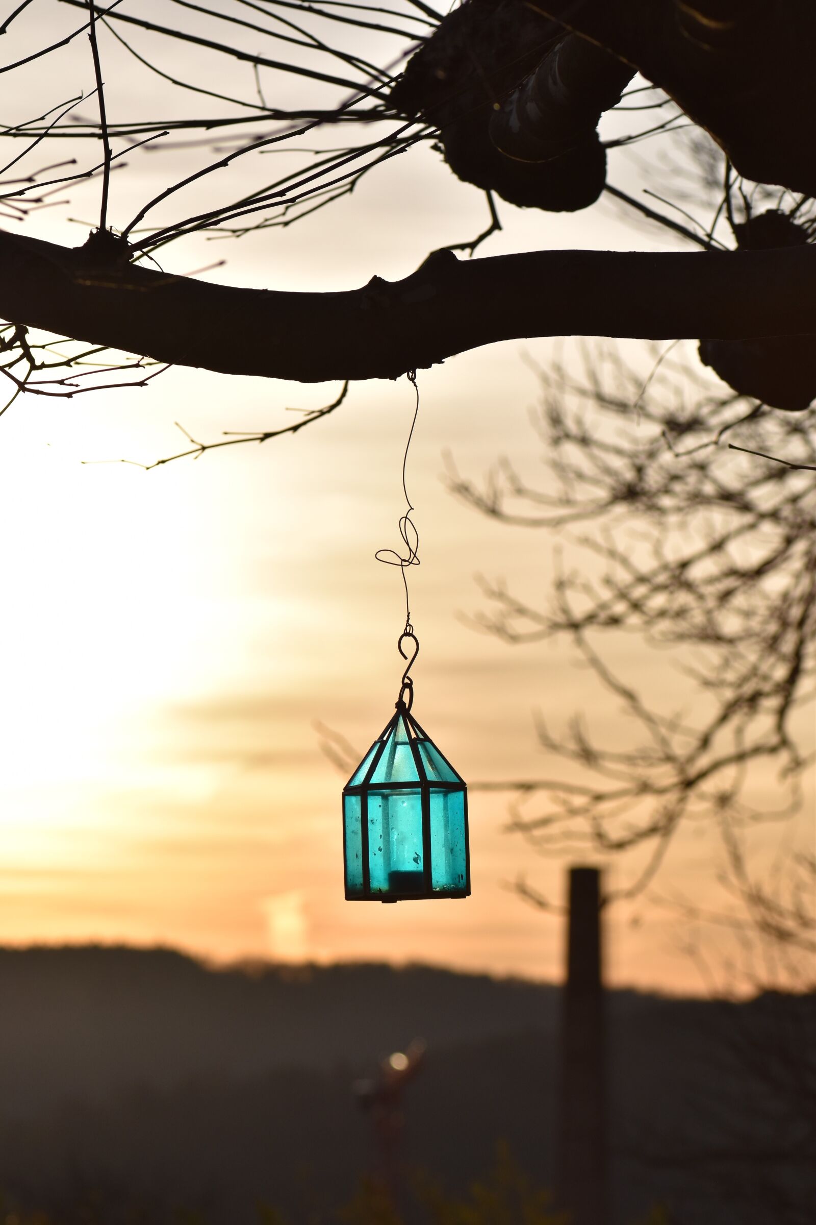 Nikon D5500 sample photo. Backlighting, abendstimmung, sunset photography