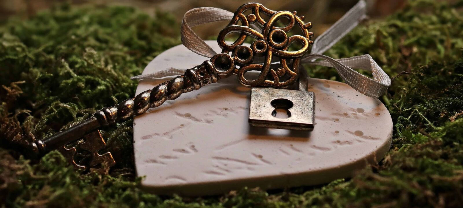 Canon EOS 80D sample photo. Heart, metal, key, moss photography