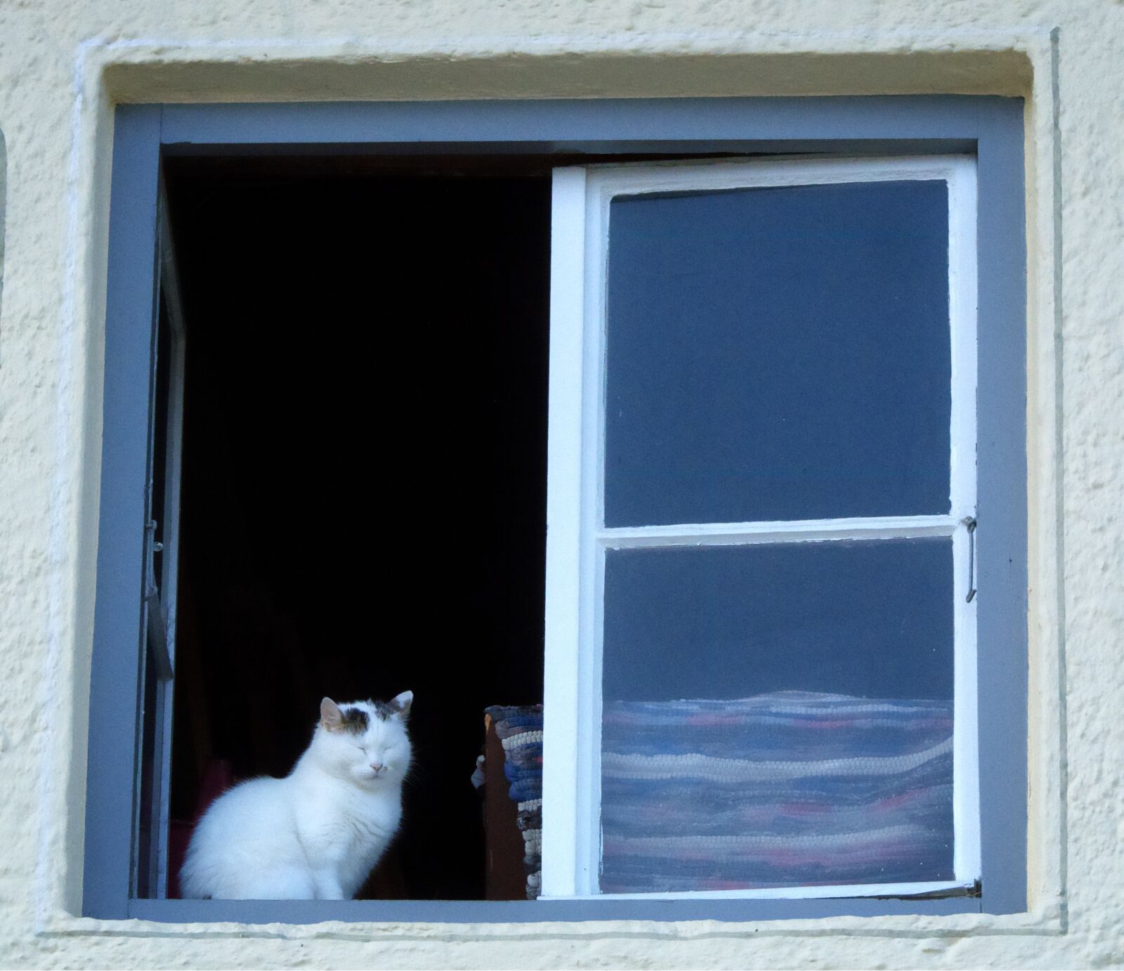 55.0-200.0mm f/4.0-f/5.6 sample photo. Cat, domestic cat, window photography