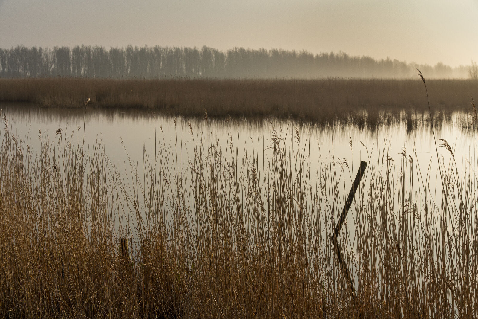 Canon EOS 60D + Canon EF-S 15-85mm F3.5-5.6 IS USM sample photo. Fog, landscape, lauwersmeer, national photography
