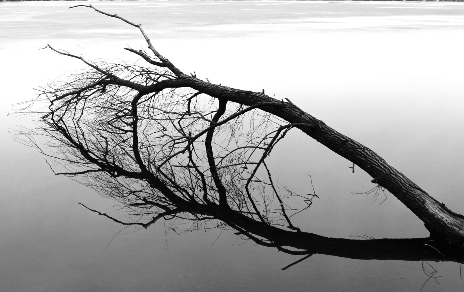 Canon EOS 100D (EOS Rebel SL1 / EOS Kiss X7) sample photo. Lake, winter, ice photography