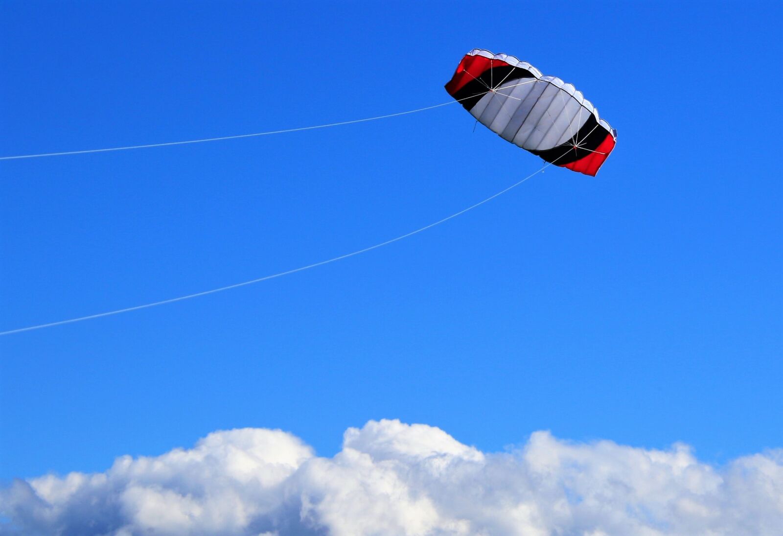 Canon EOS 7D Mark II sample photo. Dragons, kite, kite flying photography