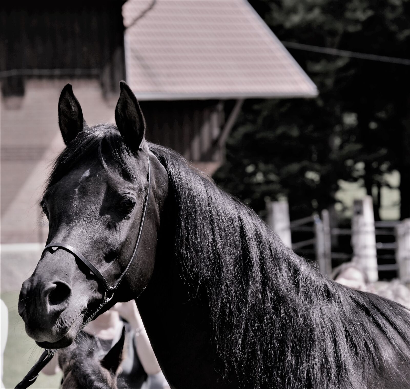 Nikon D5100 sample photo. Main and state stud photography