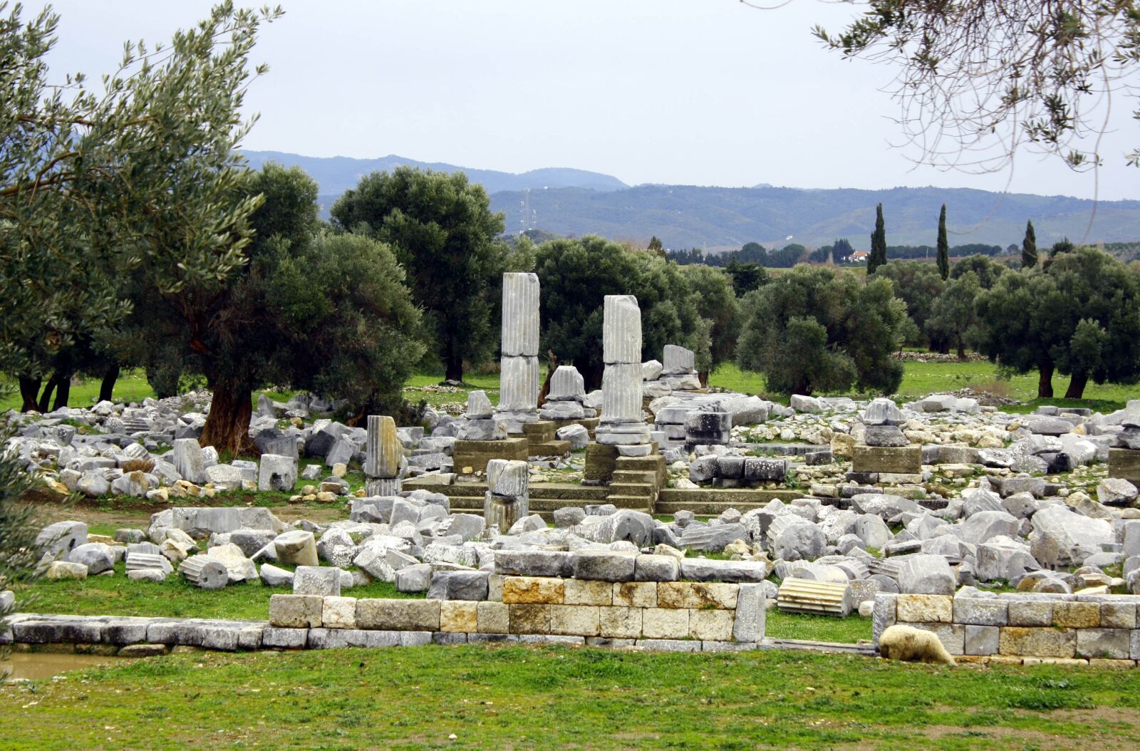 Canon EOS 1000D (EOS Digital Rebel XS / EOS Kiss F) sample photo. Teos, ancient city, relic photography