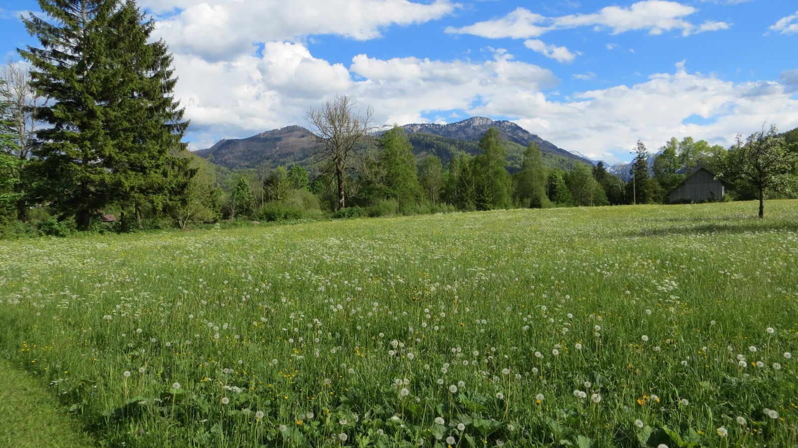 Canon PowerShot SX260 HS sample photo. Grünau, meadow, alps photography