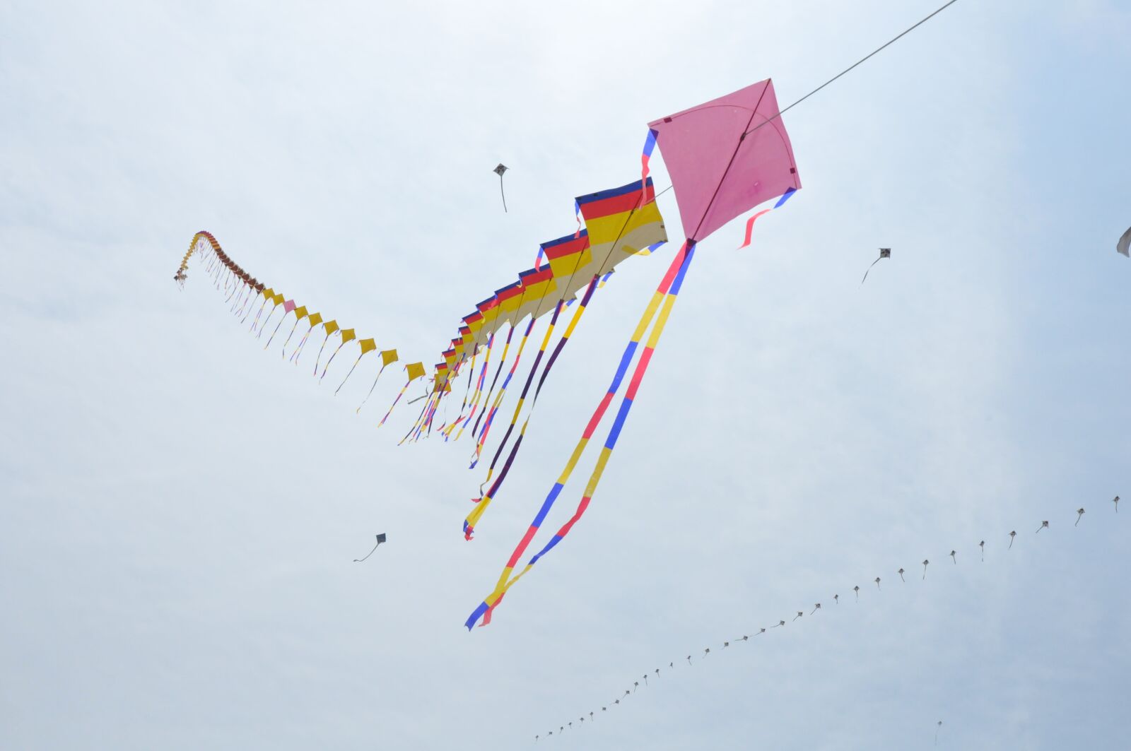 Nikon D300S sample photo. Kite, republic of korea photography