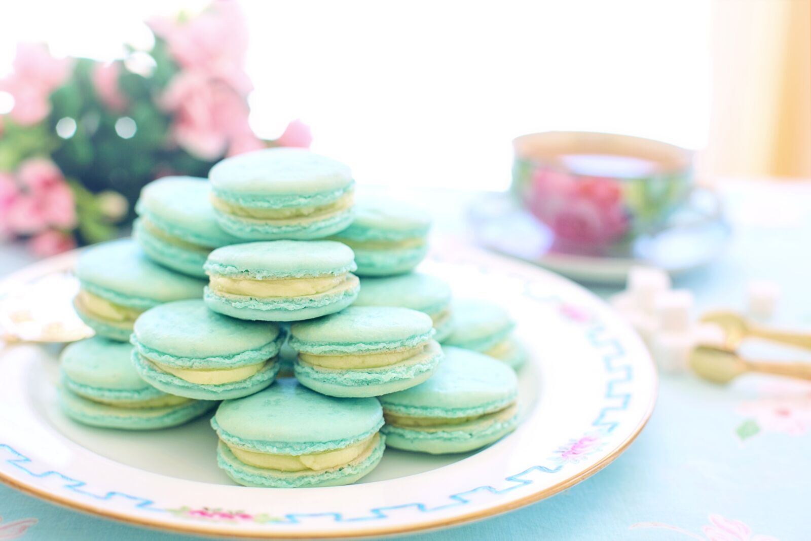 Canon EF 50mm F1.4 USM sample photo. Macarons, pink, aqua photography
