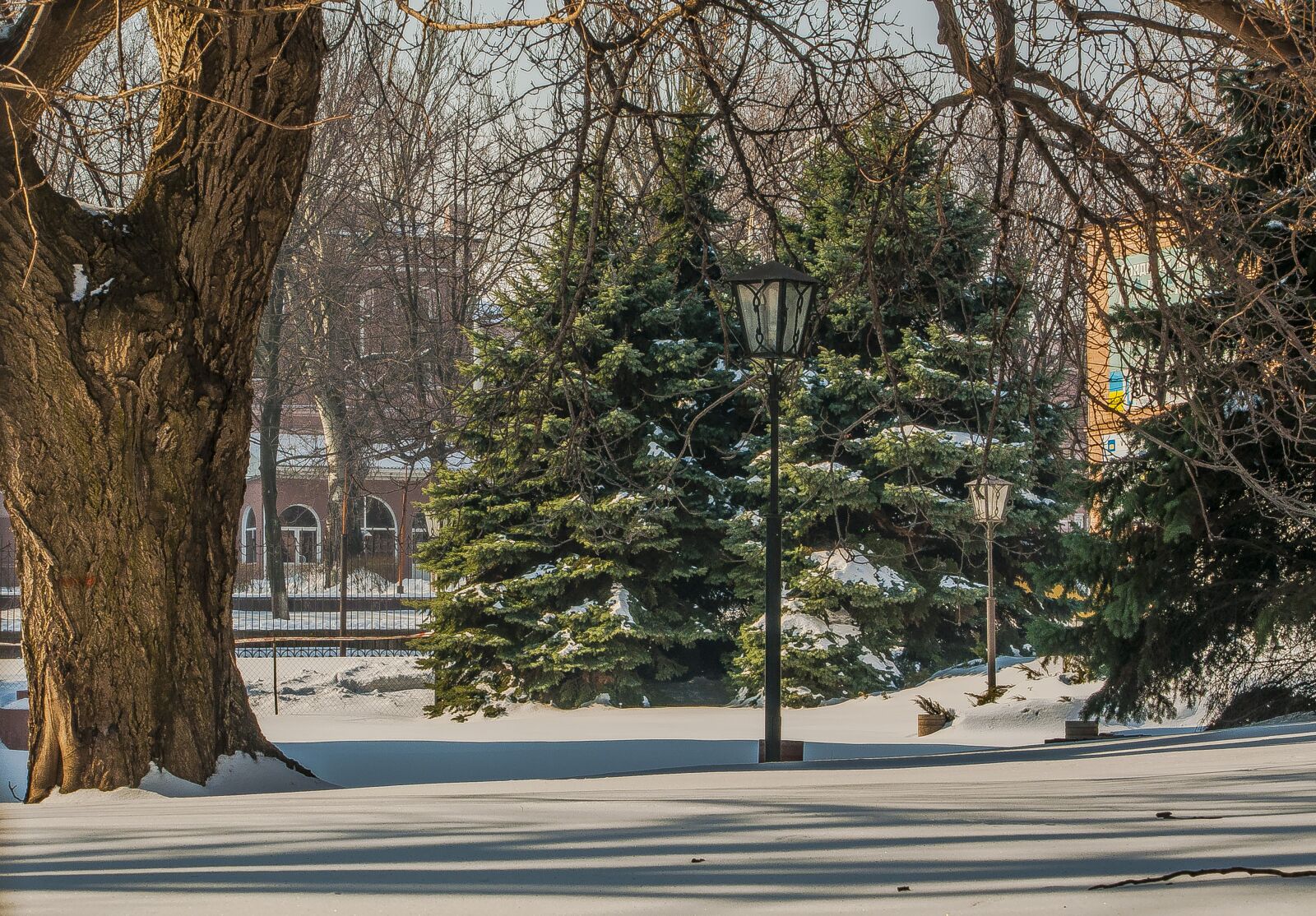 Nikon D90 sample photo. Park, winter photography