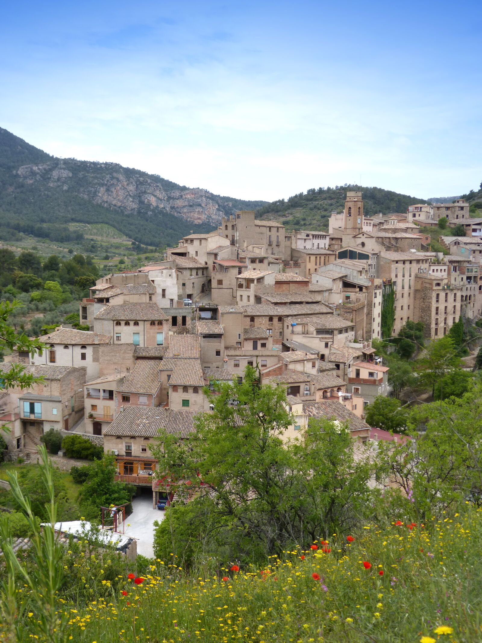 Panasonic DMC-FZ62 sample photo. People, priorat, montsant photography