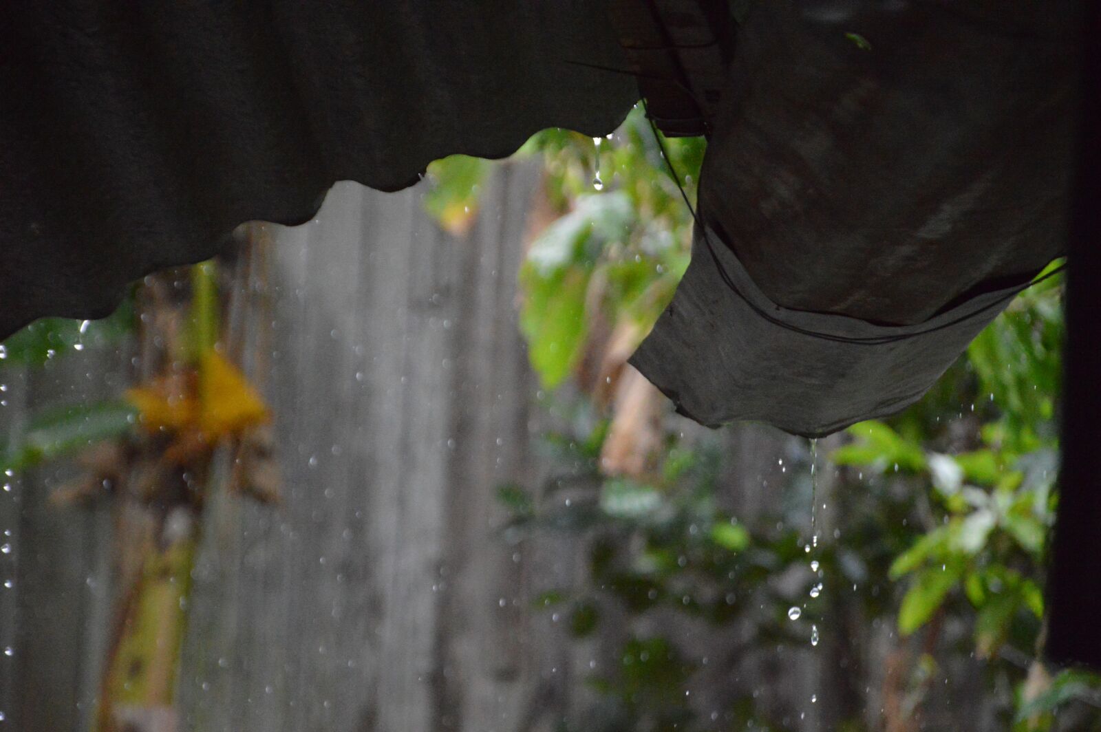 Nikon D3200 sample photo. Rain, my home, water photography