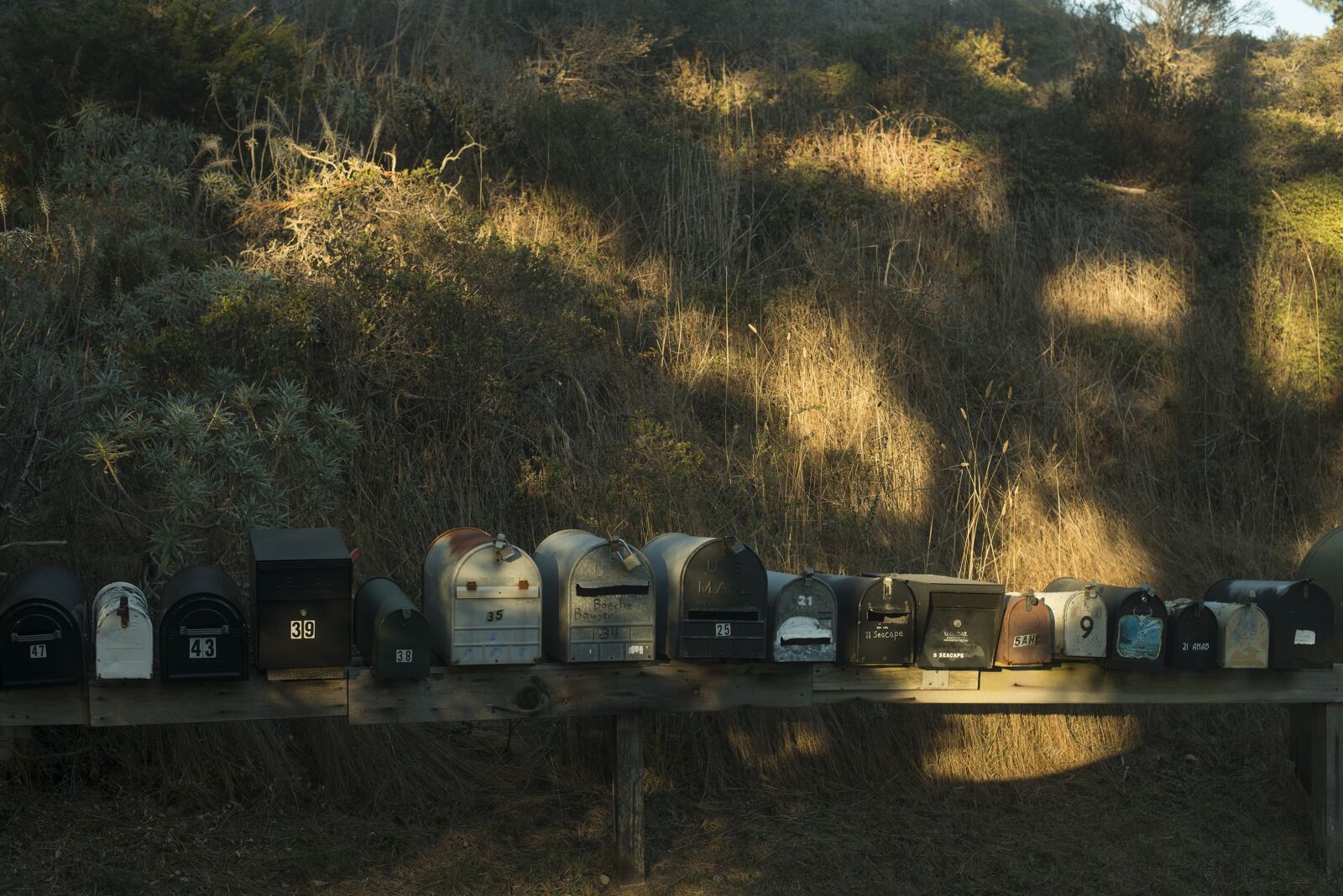 Nikon D800 sample photo. Mailbox, mail, field photography