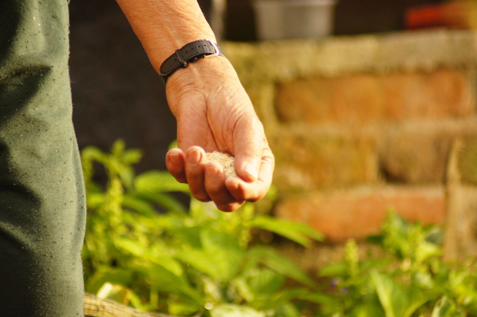 Sony SLT-A55 (SLT-A55V) sample photo. The, hands, of the photography