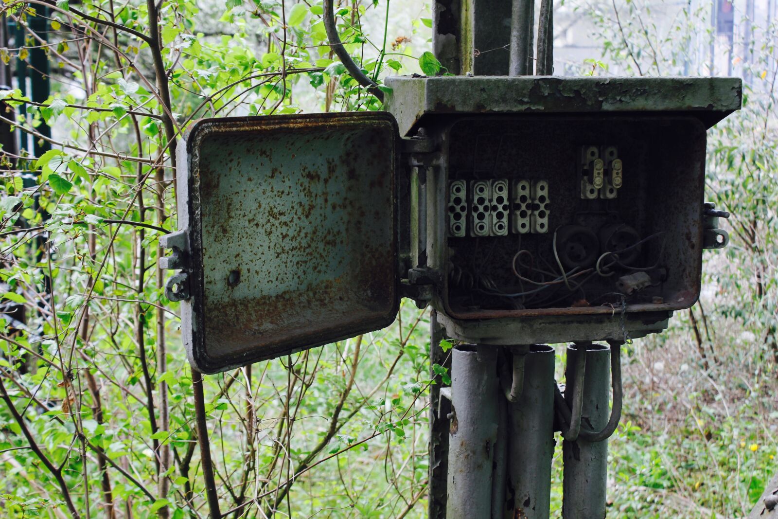 Canon EOS 550D (EOS Rebel T2i / EOS Kiss X4) sample photo. Electricity, old, abandoned photography
