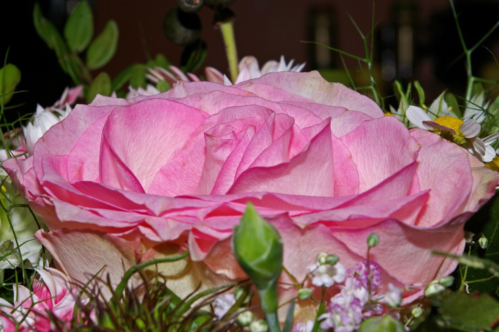 Pentax *ist DL2 sample photo. Rose, bouquet, flowers photography