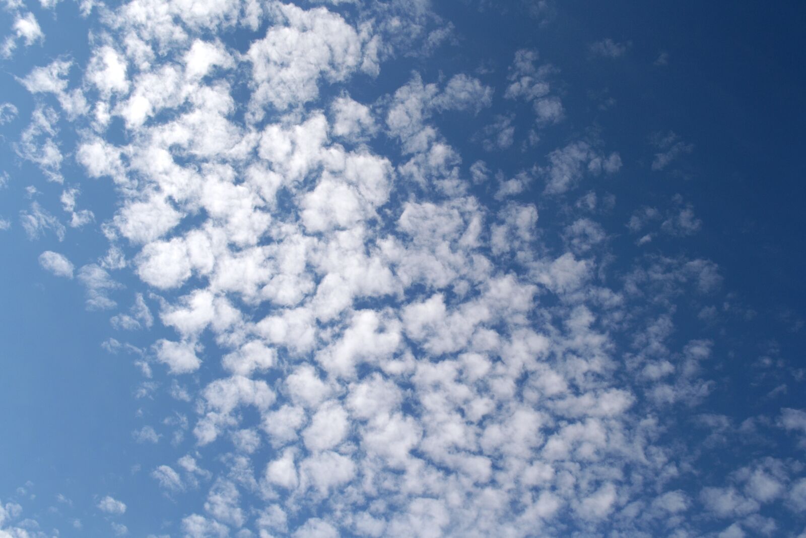 Nikon D3100 sample photo. Sky, clouds, blue photography