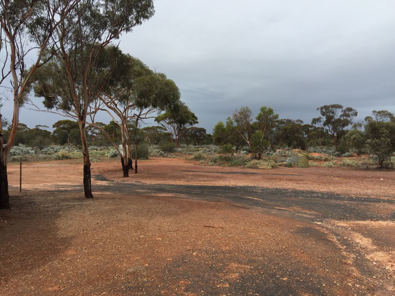 iPhone 6 Plus back camera 4.15mm f/2.2 sample photo. Bush, goldfields, desert photography