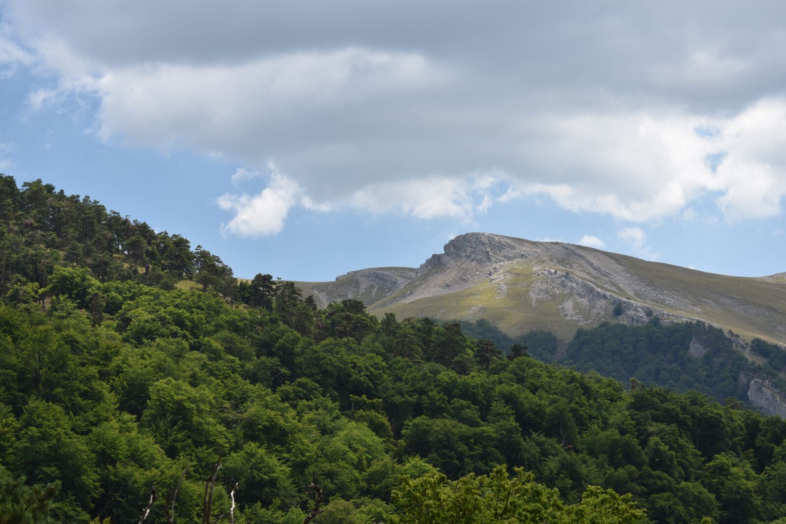 Nikon D3400 sample photo. Mountains, forest, landscape photography
