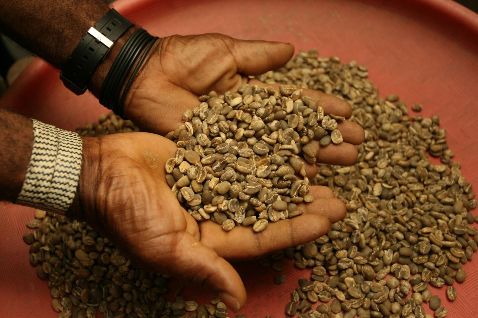 Canon EOS 30D sample photo. Coffee beans, raw, brown photography