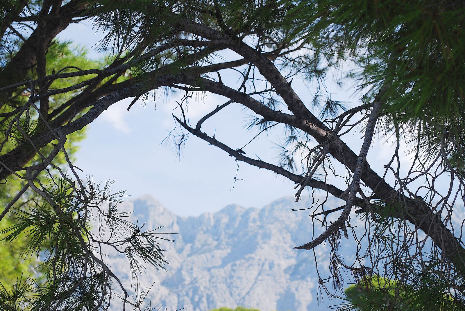 Nikon D60 sample photo. Croatia, mountains, landscape photography