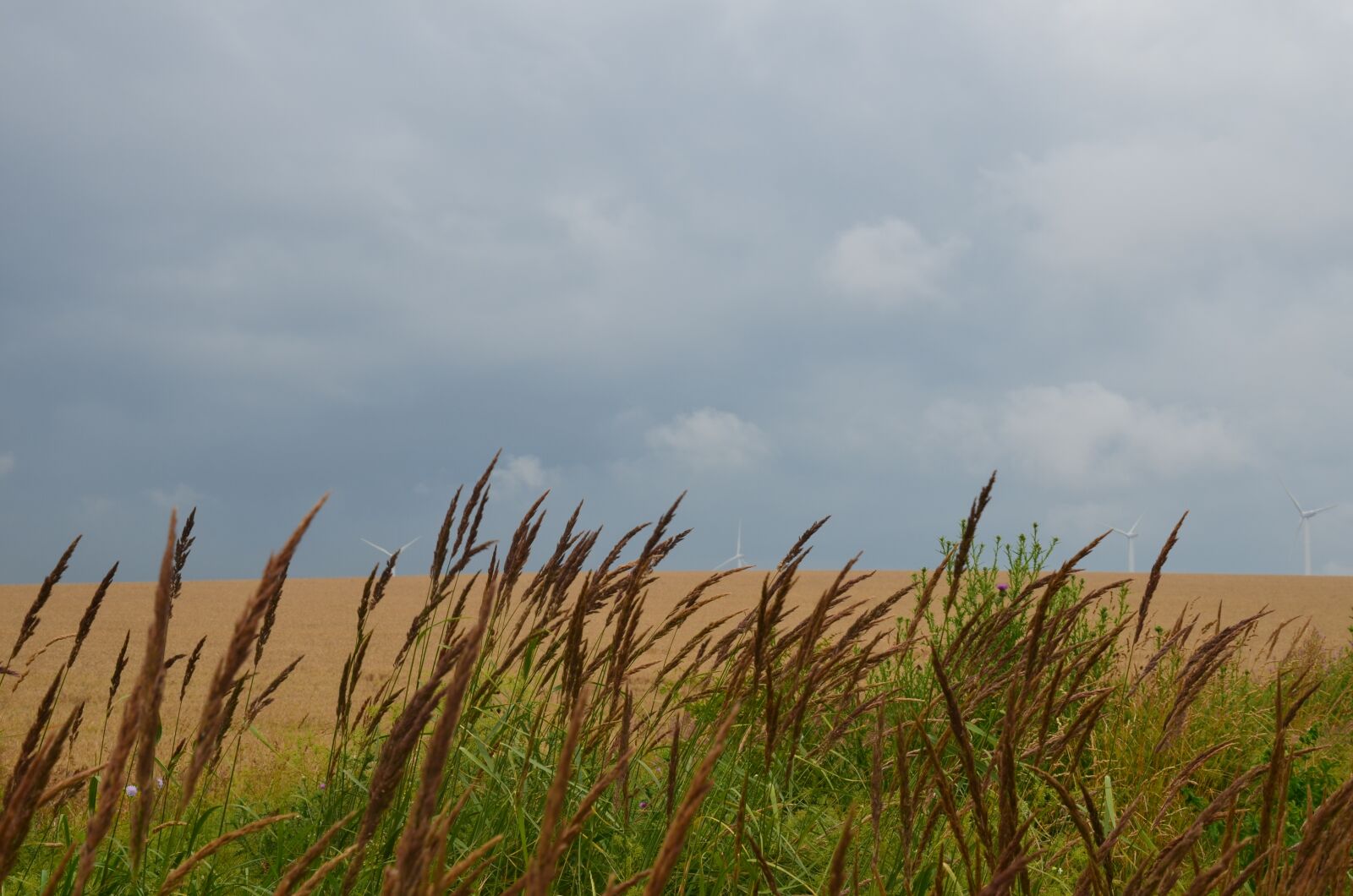 Nikon D5100 sample photo. Sky, summer, blue photography