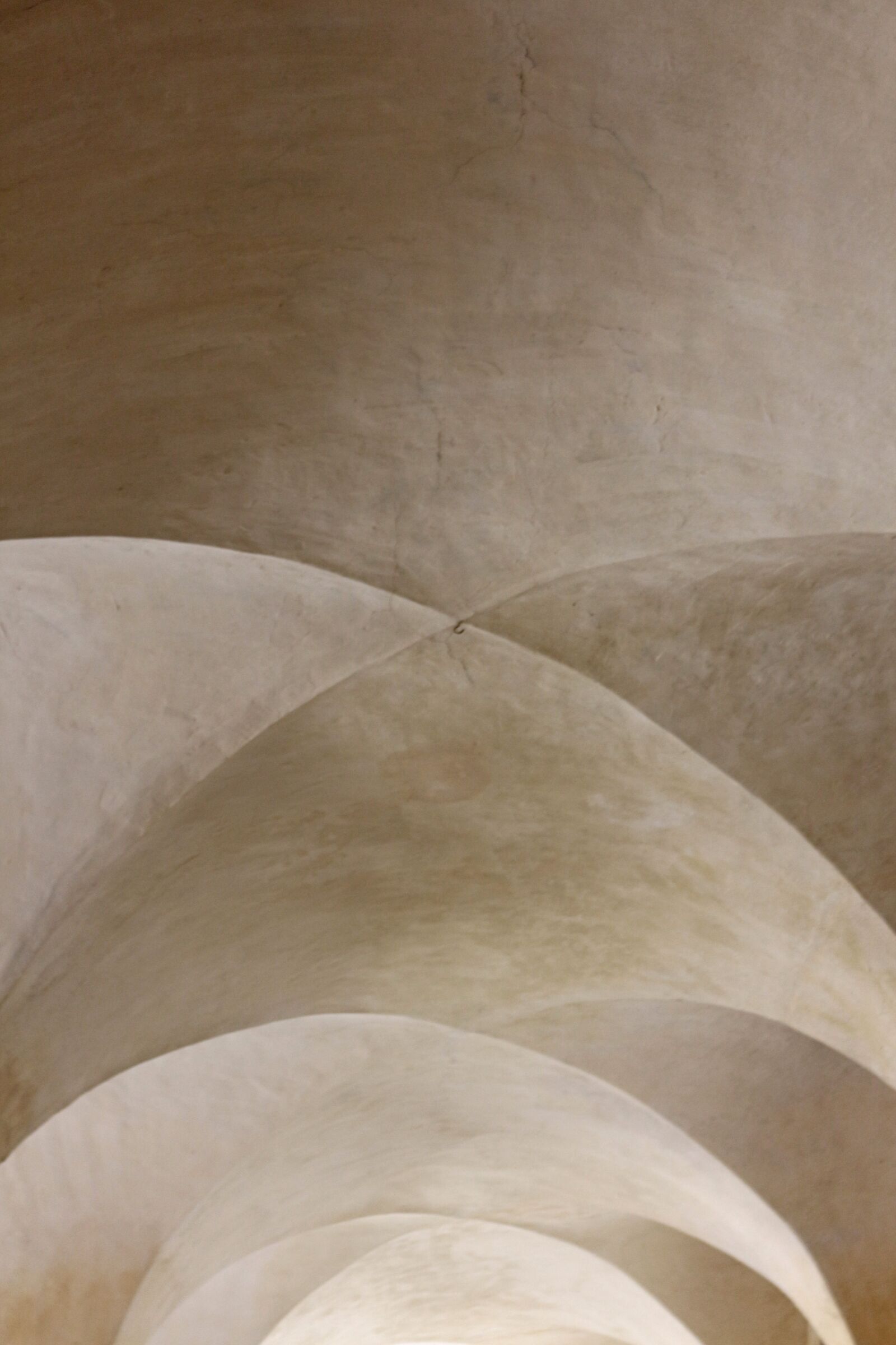 Canon EOS 700D (EOS Rebel T5i / EOS Kiss X7i) sample photo. Leicester abbey, vaulted ceiling photography