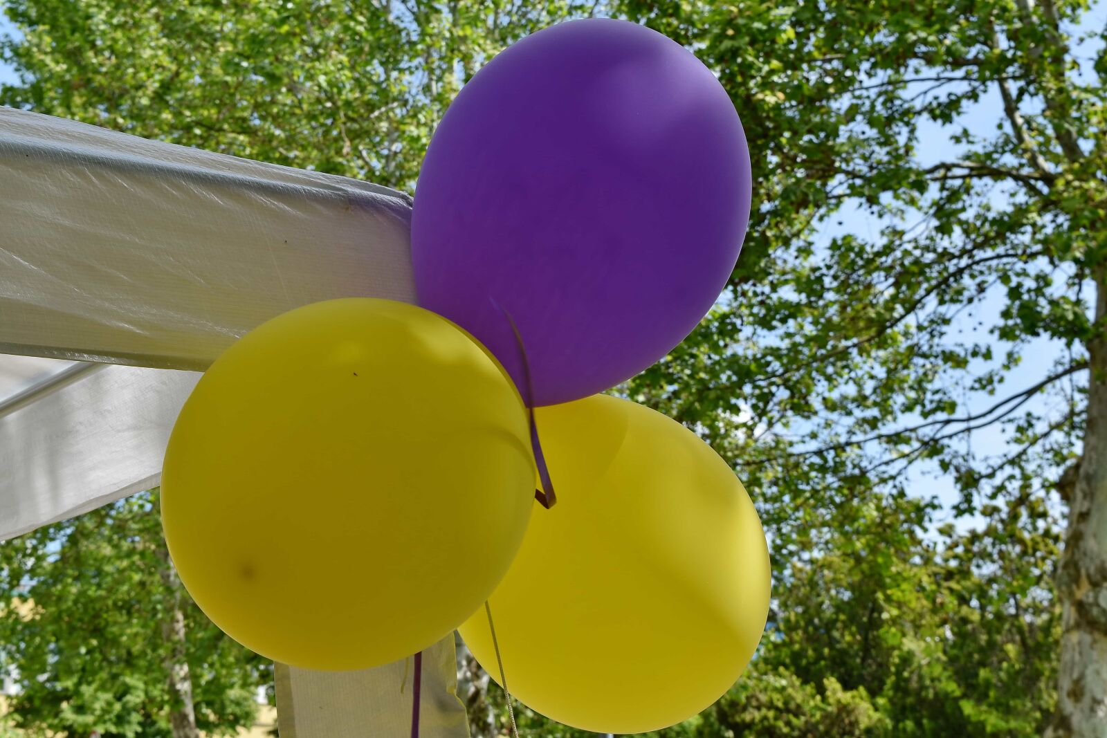 Nikon D5500 sample photo. Birthday, decoration, helium, balloon photography
