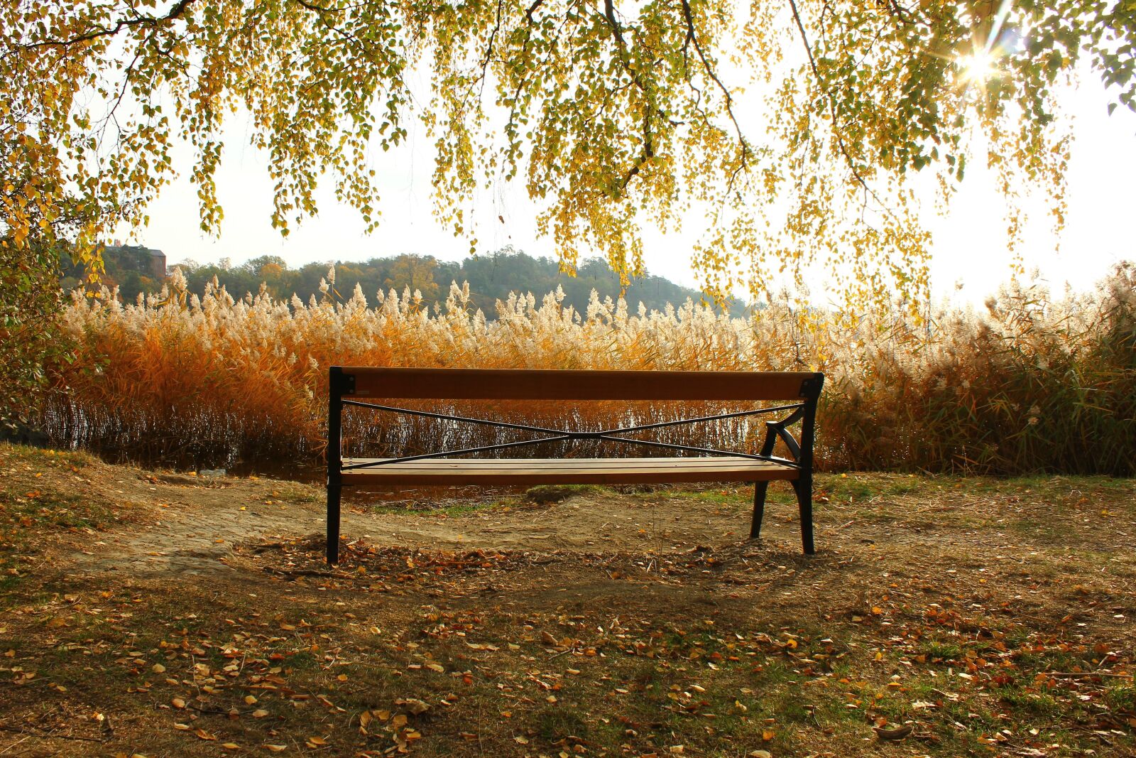 Canon EOS 550D (EOS Rebel T2i / EOS Kiss X4) sample photo. Bench, autumn, nature photography