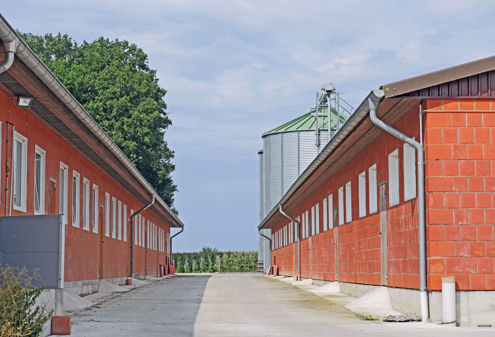Panasonic Lumix DMC-GX8 sample photo. Agriculture today, poultry, large photography