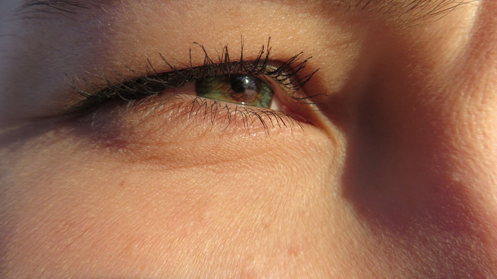 Canon PowerShot SX270 HS sample photo. Eye, color lens, vision photography