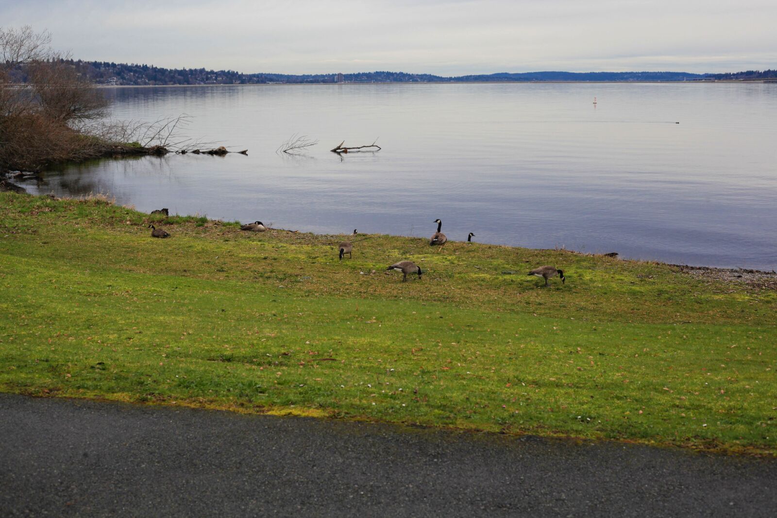 Canon EOS 5D Mark II sample photo. Lake, washington, northwest photography