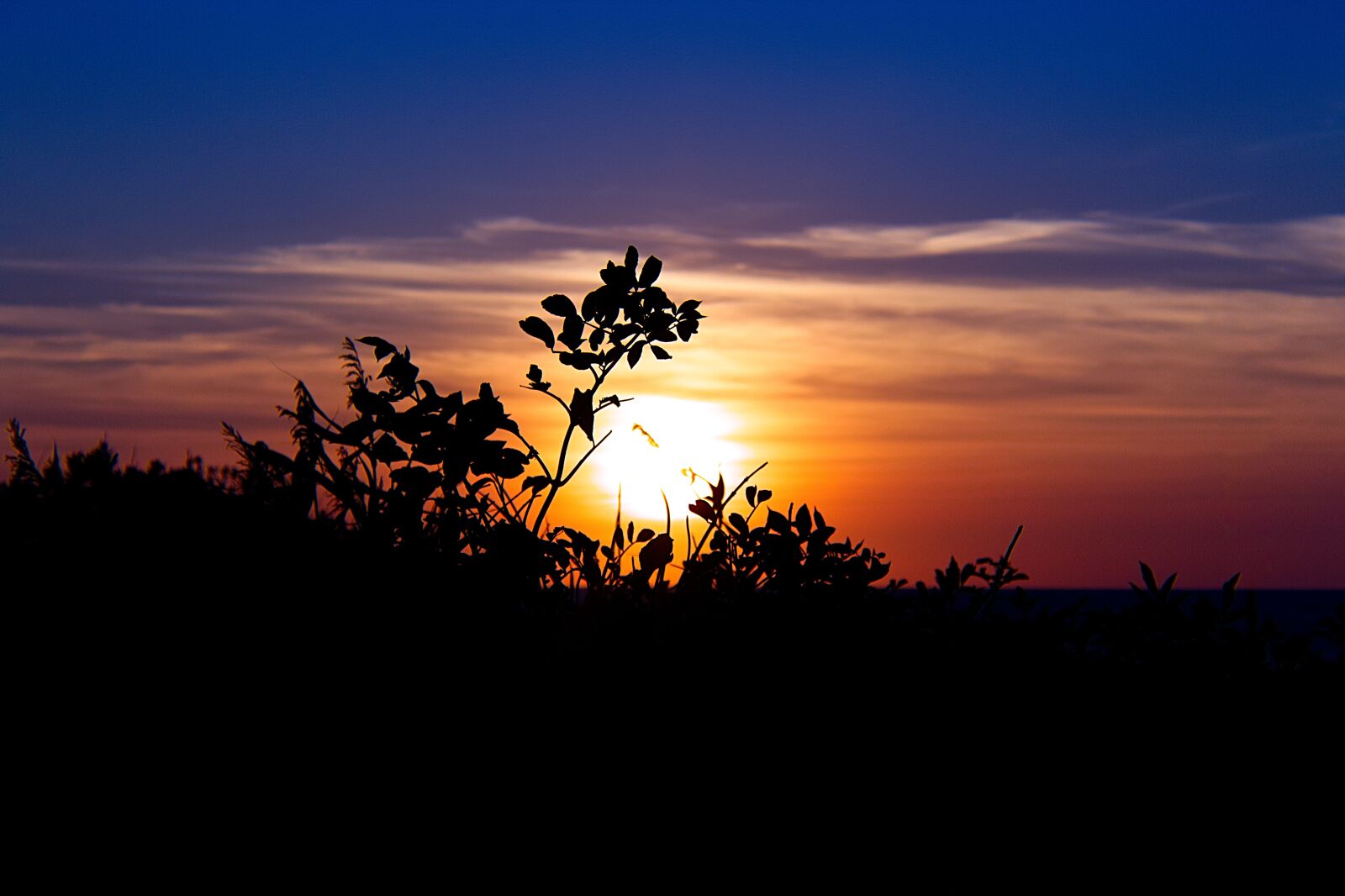 Canon EOS 1300D (EOS Rebel T6 / EOS Kiss X80) sample photo. Sun, setting, silhouette photography