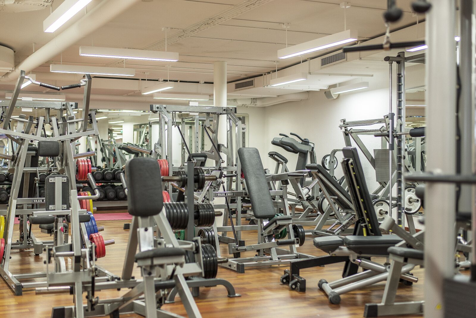 Nikon D600 sample photo. Fitness studio, train, gym photography