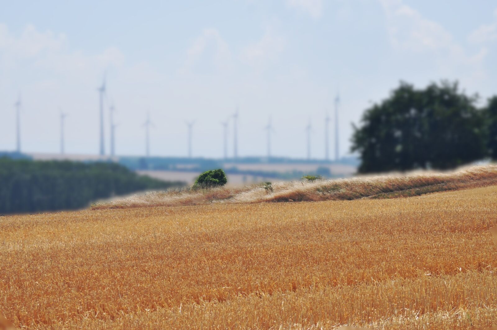 Nikon D5000 sample photo. Windräder, field, harvest photography