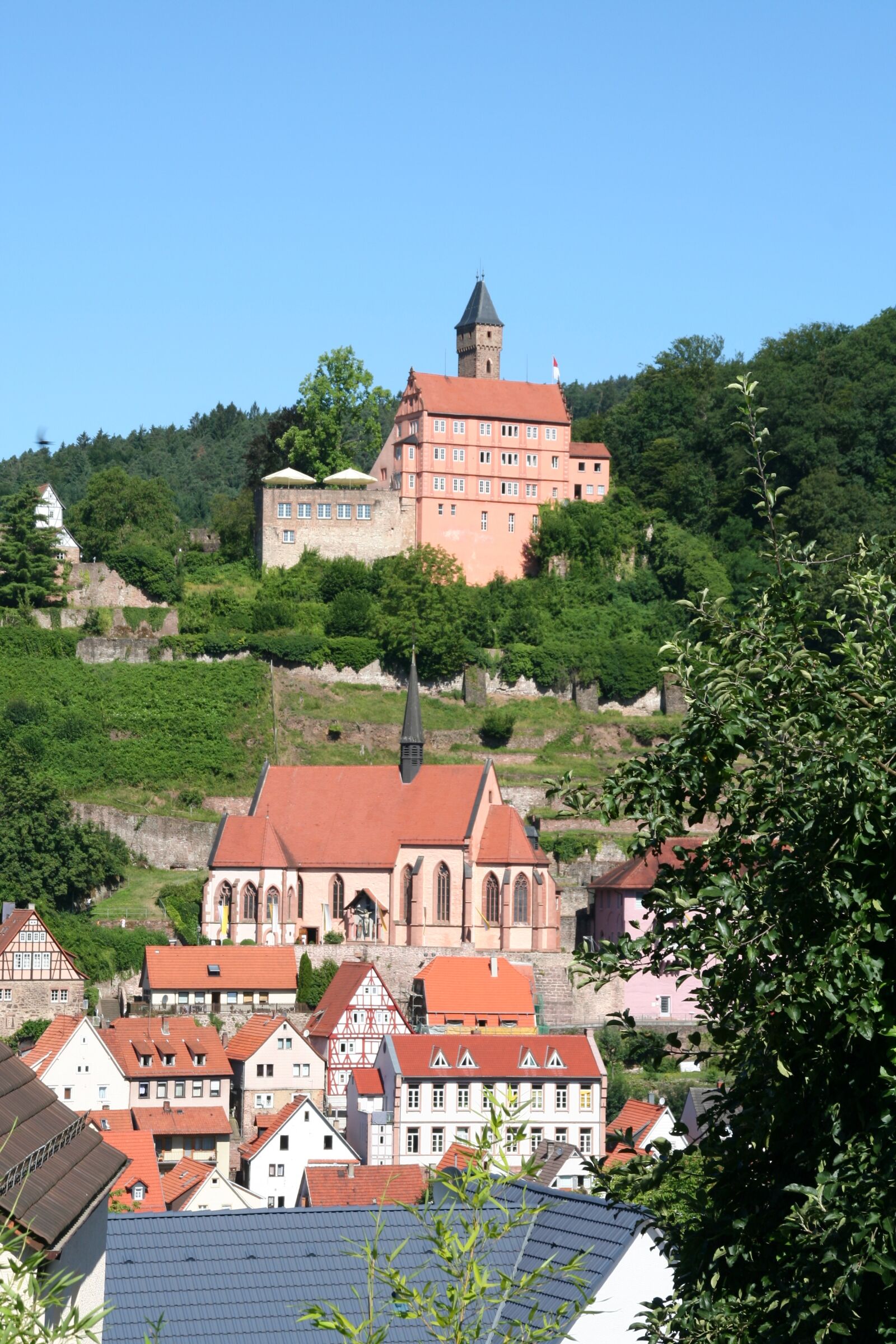 Canon EOS 350D (EOS Digital Rebel XT / EOS Kiss Digital N) sample photo. Hirschhorn, neckar, castle photography